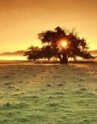 Picture for Six Months Life Coaching Package package